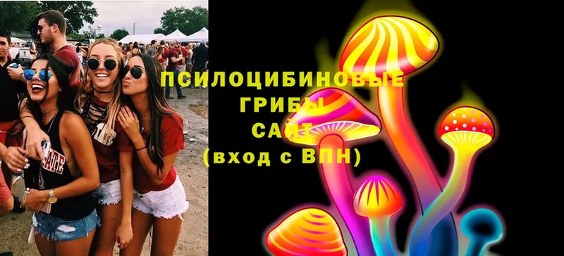 blacksprut маркетплейс  Раменское  Псилоцибиновые грибы Psilocybe 